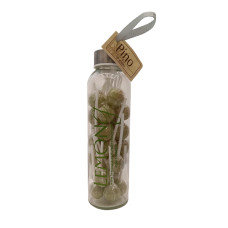 CONFITERIA BOTELLA DE VIDRIO CON LOGOTIPO 500 ML BOMBON PINO MEDIA LIBRA 